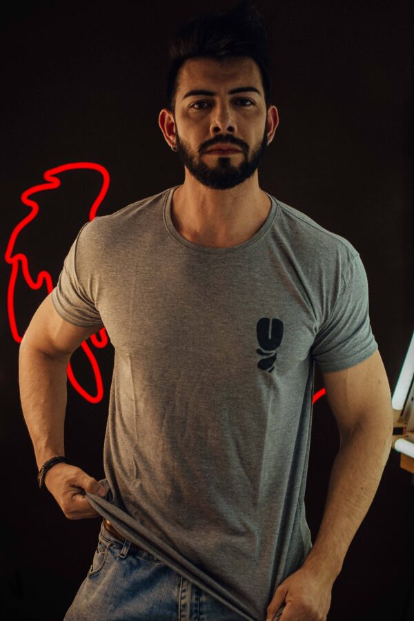 Remera básica gris 01